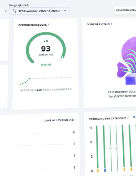 Uitgebreide SEO Tool statistieken