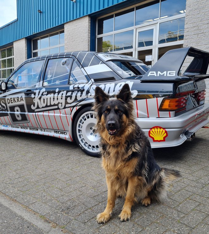 Vuik Motorsport